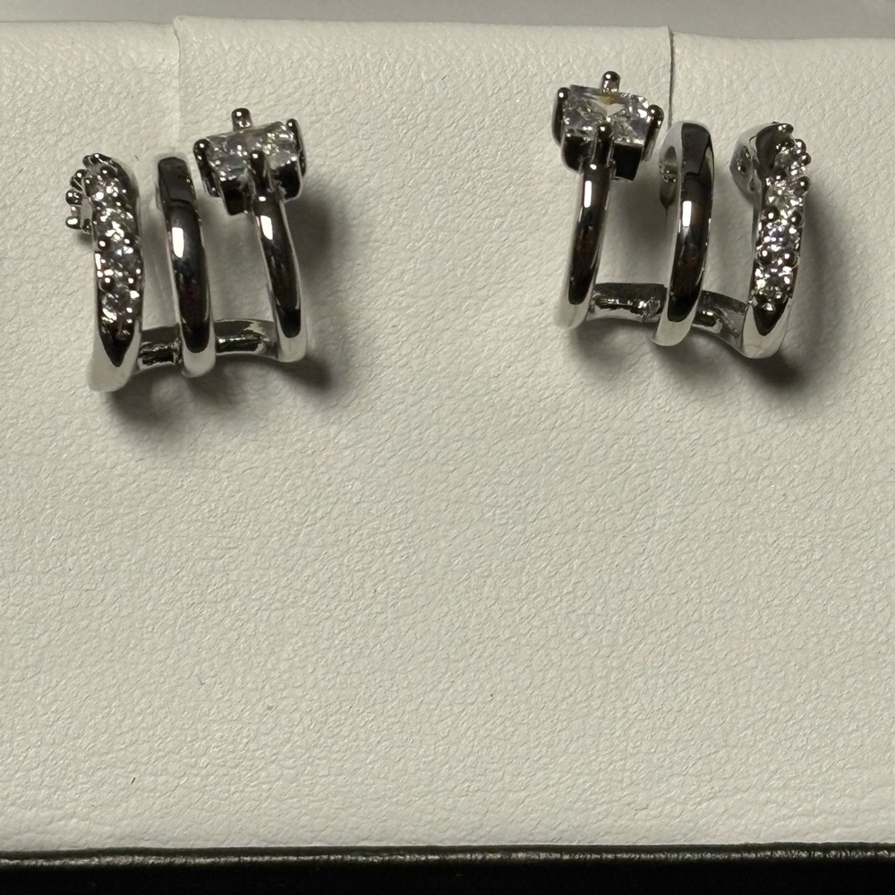 Elegant Silver Hoop Earrings